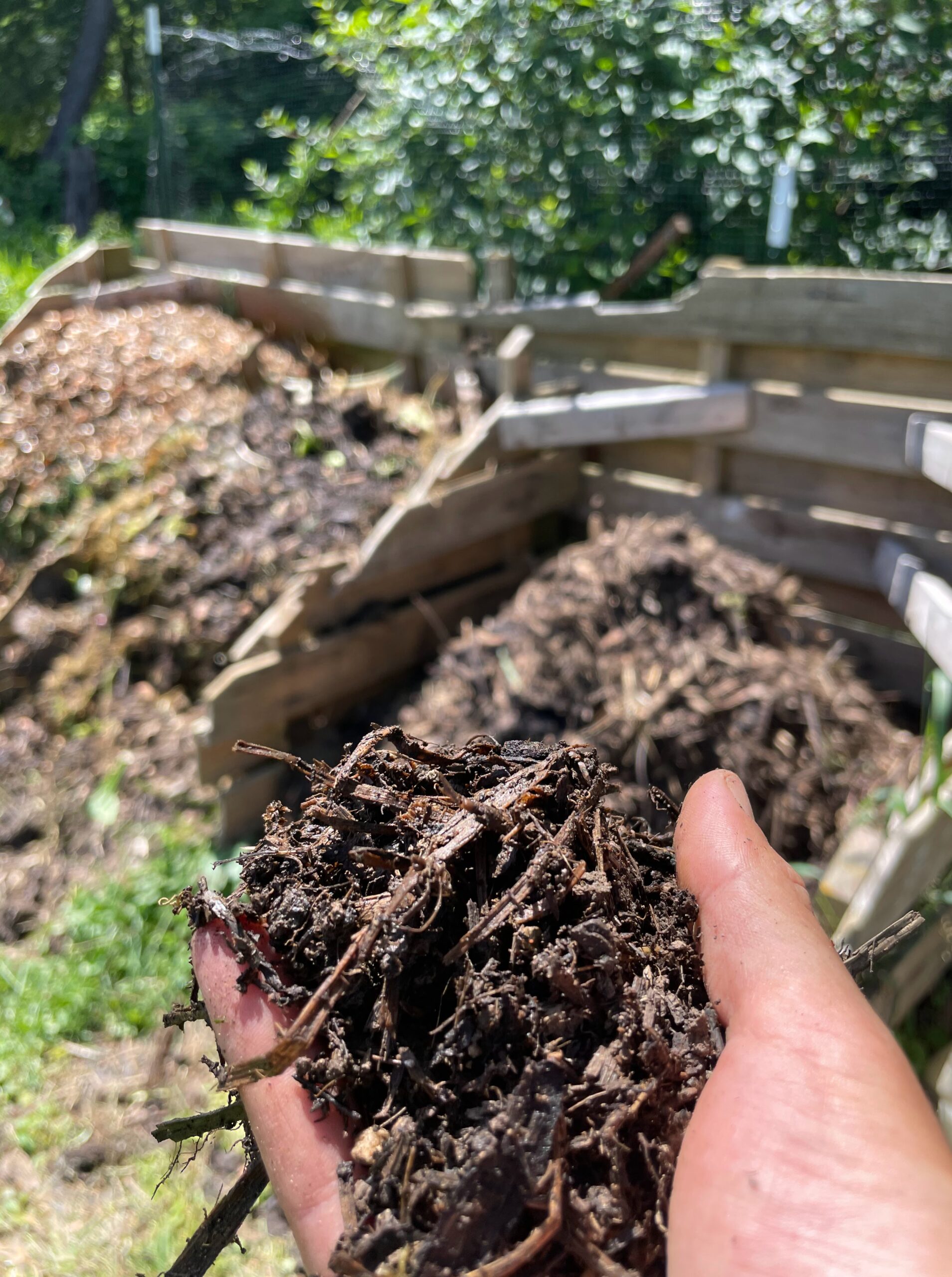 Wood Chips Are Gardening Gold