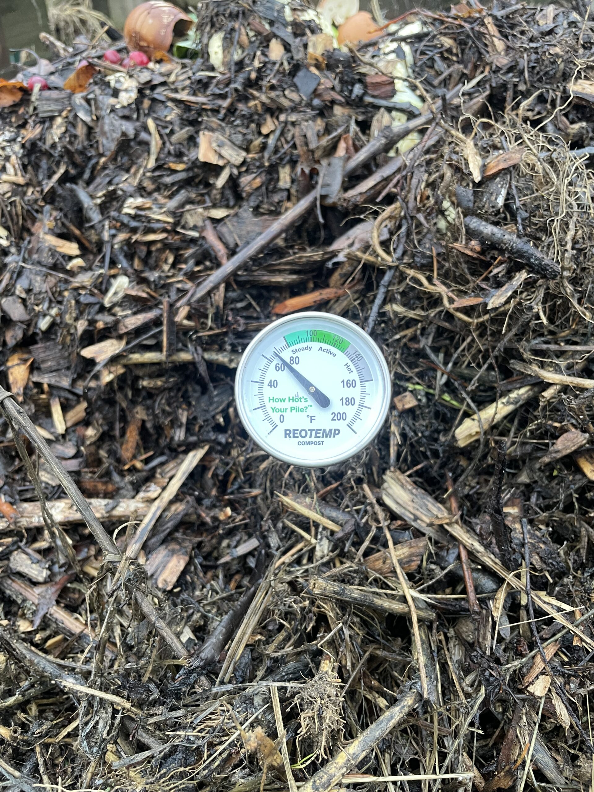 Our compost thermometer taking the temperature of our compost pile