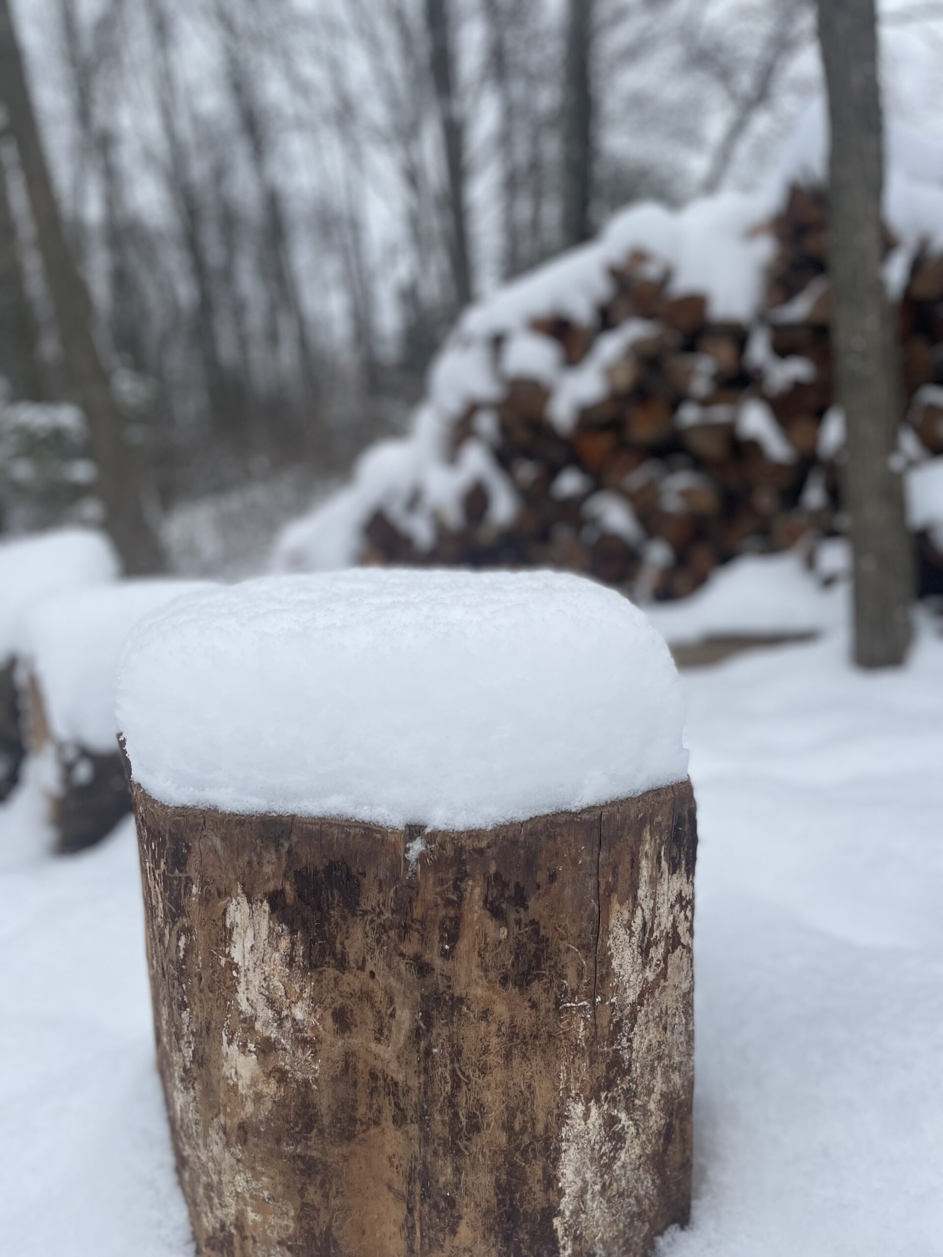 A Rare Long-Term Snowpack On The Farm