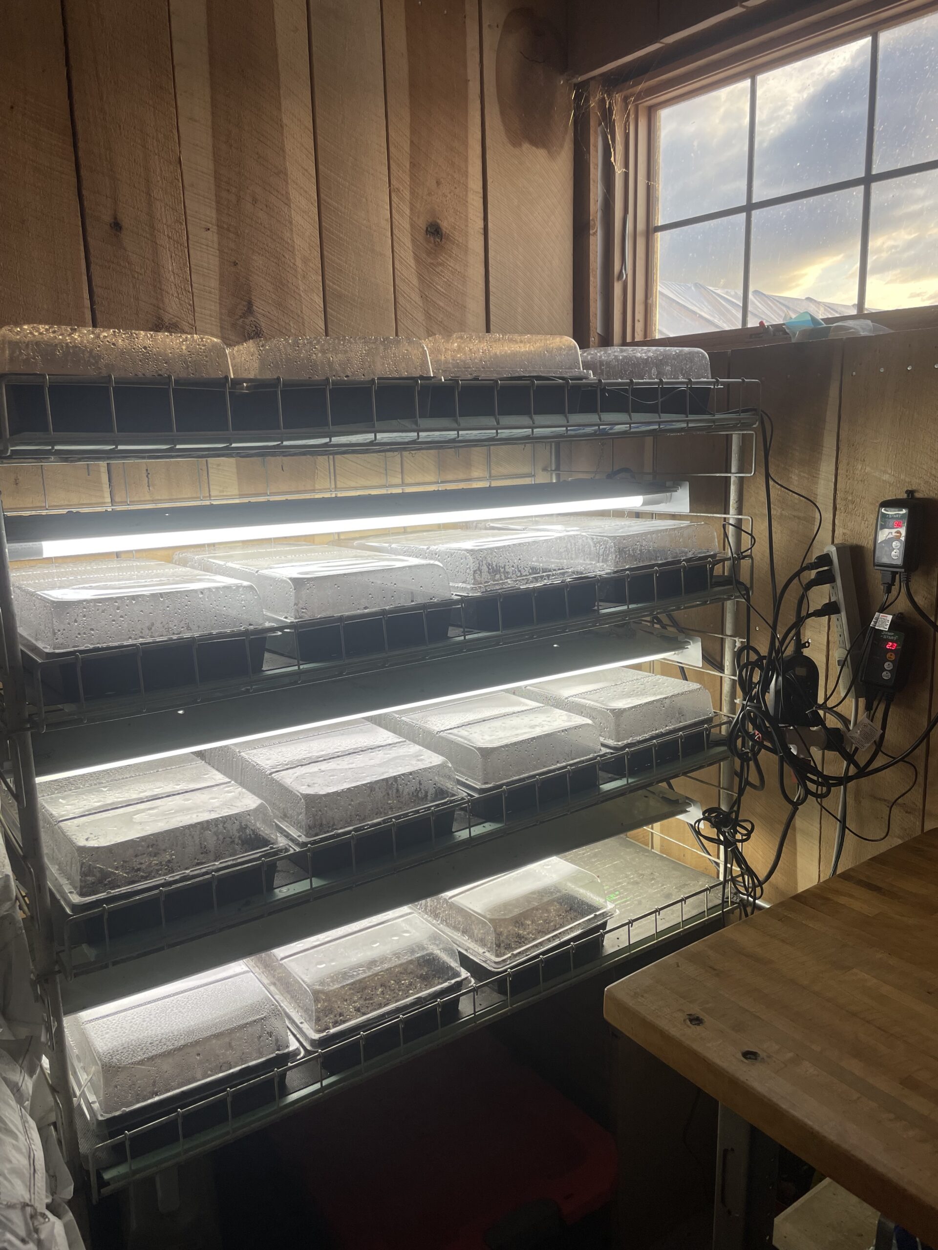 A Professional (Or Home Garden) Germination Setup