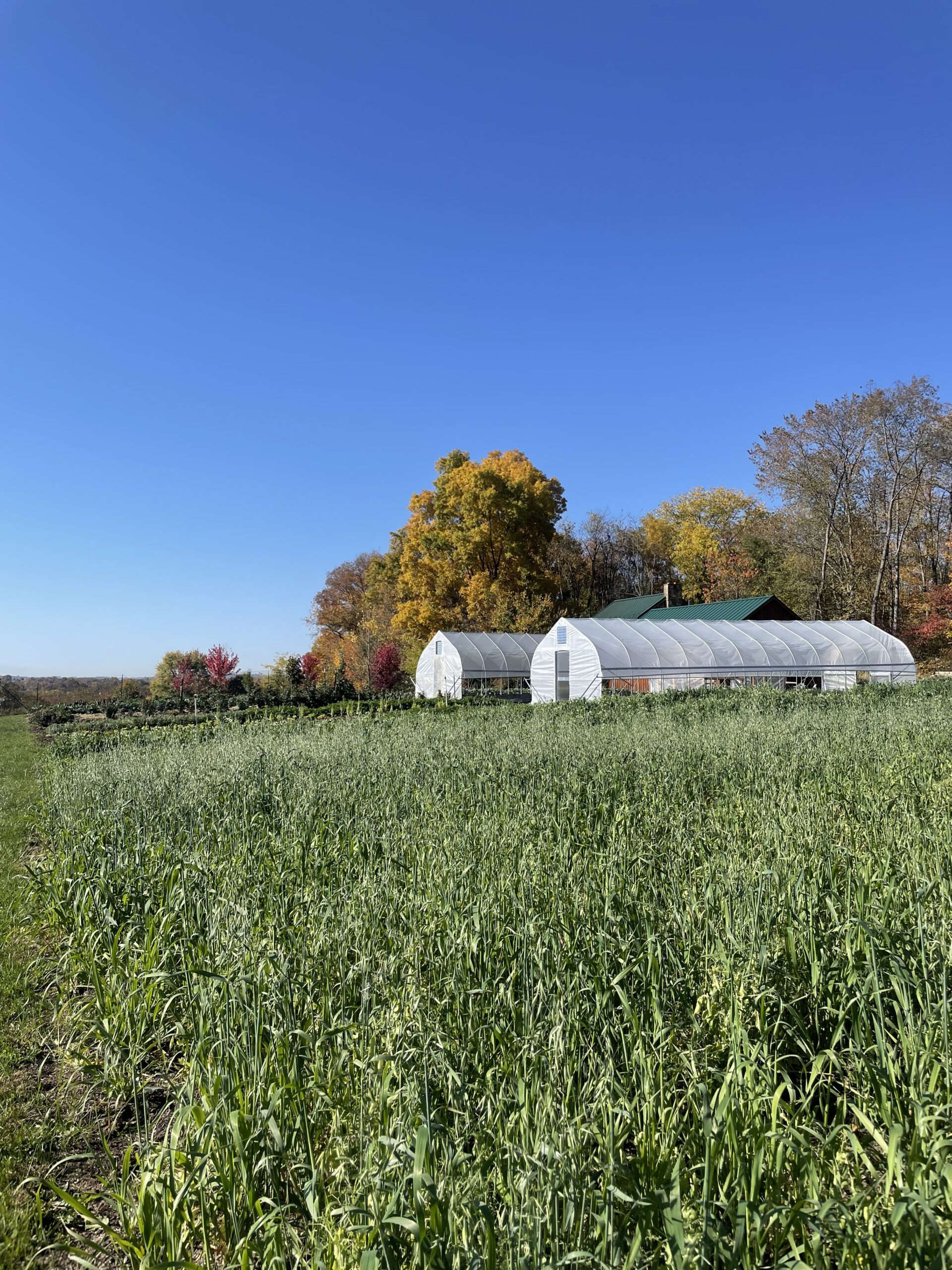A photo of farm field with greenhouses in the distance